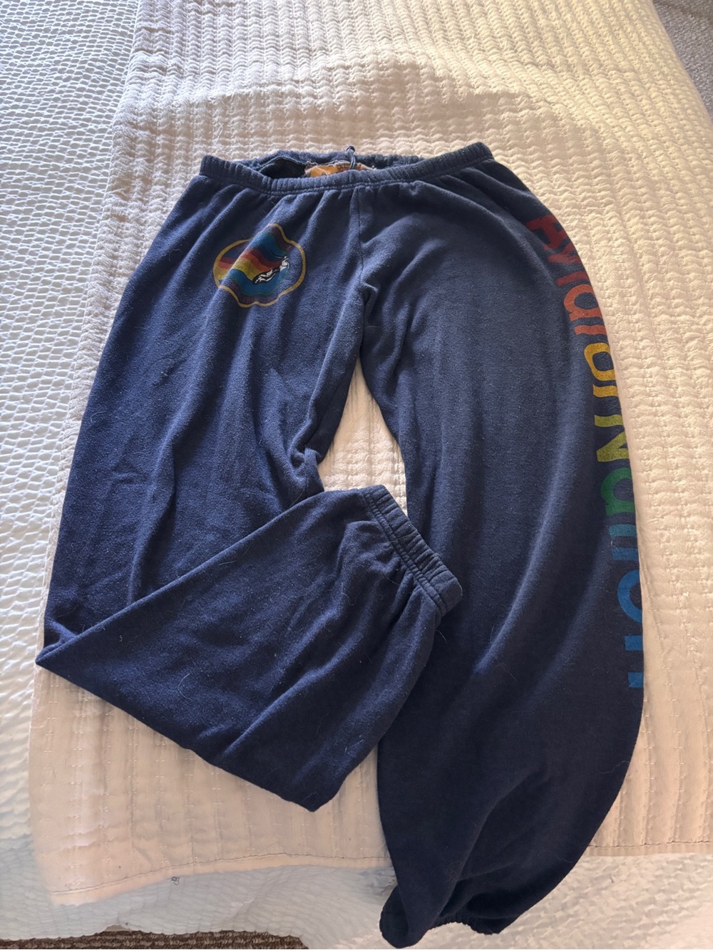 Aviator Nation Navy Rainbow Graphic Sweatpants XL